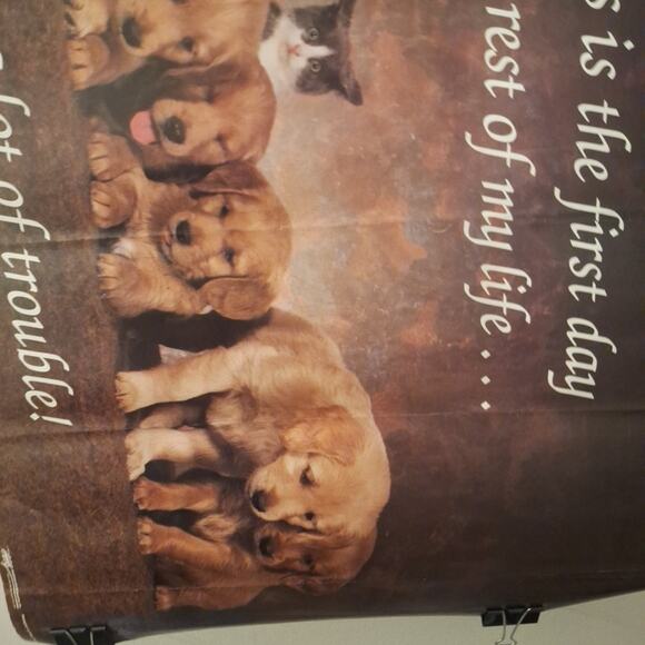 Cute Dogs And Cat Poster. PC0964 "Lot Of Trouble" 34x22 In. - Picture 3 of 5